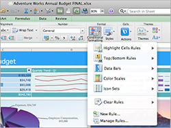 Conditional Formatting: Enhance tables with icons, data bars, and color scales.