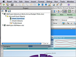Visual Basic: Program easily across both Macs and PCs.