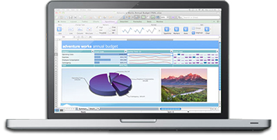 Microsoft Excel for Mac 2011