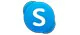 Skype icon