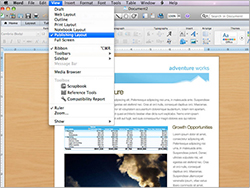 Publishing Layout View: Enhanced layout view.